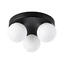 Paulmann Applique et plafonnier GOVE G9 IP44, mat, noir 