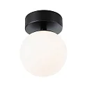 Applique et plafonnier GOVE IP44, mat, noir 