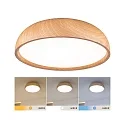 Luminaire de salle de bain OKA CCT Switch, commutable IP44, bois, mat 