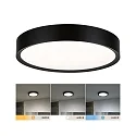 Paulmann bath luminaire TEGA CCT Switch, switchable IP44, mat, black 