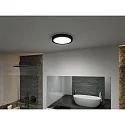 Paulmann bath luminaire TEGA CCT Switch, switchable IP44, mat, black 