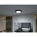 Paulmann bath luminaire TEGA CCT Switch, switchable IP44, mat, black 