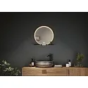 Paulmann Miroir avec éclairage MIRO Ø 50CM rond, avec carde, Tunable White, avec tablette IP44, noir mat 