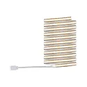 Paulmann Bande LED MAXLED 1000 FULL-LINE COB argent