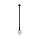 Paulmann Luminaire à suspension RAVI IP44 réglable E27 IP44, noir