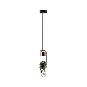 Paulmann Luminaire à suspension NEORDIC URBAN JUNGLE FANJA GU10 IP20, cuivre, noir  gradable