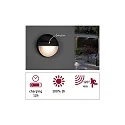 Paulmann LED Outdoor Wall luminaire ELOIS Solar luminaire, 1W, 3000K, 50lm, IP44, anthracite