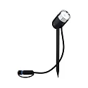 Paulmann Lumière extérieure LED PLUG&SHINE PIKE RGBW, contrôlable par ZigBee IP44, anthrazit gradable
