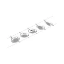 Paulmann Lampe à corde ROUNDMAC LED 5 fois, chrome, blanche 