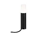 Paulmann Lampe à broche PLUG&SHINE FLAREA IP65, noir  gradable