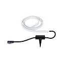 Paulmann Bande LED PLUG & SHINE NEON STRIP RGB ZIGBEE Tunable White, RGBW blanche