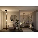 Paulmann LED system luminaire ULine PENDEL BALL Ø 15CM with diffuser, ball shaped IP20, black matt dimmable