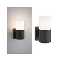 Paulmann Luminaire mural d’extérieur TUBS cylindrique, commutable E27 IP44, gris, mat