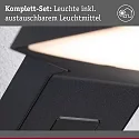 Luminaire mural d’extérieur ZERENA avec capteur, favorable aux insectes, résistant à l'air marin IP44, anthrazit 