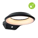 Luminaire mural d’extérieur ANELA PIR avec capteur, favorable aux insectes, résistant à l'air marin IP44, anthrazit 