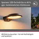 Luminaire mural d’extérieur ANELA PIR avec capteur, favorable aux insectes, résistant à l'air marin IP44, anthrazit 