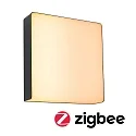 Paulmann outdoor wall luminaire AZALENA with sensor, ZigBee controllable, insect friendly IP44, anthracite, transparent dimmable