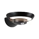 solar wall luminaire BOROLA PIR with sensor IP44, anthracite, transparent 