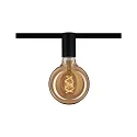 Paulmann Culot URAIL CEILING SOCKET E27, noir  gradable