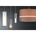 Paulmann Luminaire à suspension URAIL BASIC PENDULUM 2EASY E27, chrome, chromé mat gradable