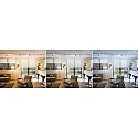 Paulmann Spot URAIL CONE Tunable White, contrôlable par ZigBee GU10, chrome, chromé mat gradable
