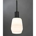 Paulmann Luminaire à suspension URAIL DECOSYSTEMS sans abat-jour E14, noir mat, blanche gradable