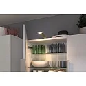 Paulmann Luminaires pour meuble MIKE LED Tunable White, chromé mat gradable