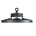 RADIUM Projecteurs de hall STAR 200 DALI GEN5 contrôlable par DALI, CCT Switch, multipower, focalisable IP65, noir gradable