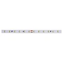 Bande LED VARDAFLEX QUANTUM PLUS - 1CM blanche