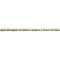 Bande LED VARDAFLEX PLUS PROFI / 2400K CRI98 - 5M
