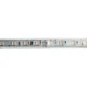 Bande LED siliconée VARDAFLEX OUTDOOR RGB 770 INTELLIGENCE EIGHT - 5M RGBW, contrôlable par DMX transparent