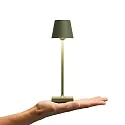SIGOR battery table lamp NUINDIE POCKET USB-C up / down, with USB connection, CCT Switch, with touch dimmer IP54, pine green dimmable