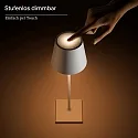 SIGOR battery table lamp NUINDIE USB-C up / down, with USB connection, CCT Switch, with touch dimmer IP54, sage green dimmable