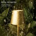 SIGOR battery table lamp NUINDIE USB-C up / down, with USB connection, CCT Switch, with touch dimmer IP54, gold anodised dimmable