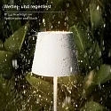 SIGOR Lampe de table à accu NUINDIE MINI USB-C haut / bas, avec connexion USB, CCT Switch, avec variateur tactile IP54