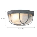 Mexlite Mexlite Ceiling luminaire LISANNE, 1 flame, grey