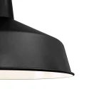 Mexlite Mexlite Pendant luminaire BLACKMOON, 1 flame, black