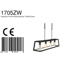 Mexlite Mexlite Pendant luminaire BUCKLEY, 4 flames, black