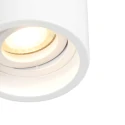 Steinhauer Downlight PÉLITE SPOT cylindrique, rigide, version pour montage en surface GU10 IP20, blanche gradable