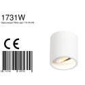 Steinhauer Downlight PÉLITE SPOT cylindrique, rigide, version pour montage en surface GU10 IP20, blanche gradable