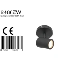 Mexlite Mexlite Spot, 1 flame. GU10, IP44, black