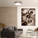 Steinhauer ceiling luminaire RINGLEDE LED round LED IP20, bronze, white dimmable