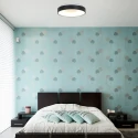 Steinhauer ceiling luminaire RINGLEDE - Ø 48CM large, round, direct / indirect IP20, black matt dimmable