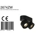 Mexlite Luminaire de plafond FEZ à 2 flammes, ovale, pivotant, rotatif, reculer IP20, noir mat gradable