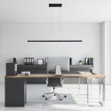 Mexlite Mexlite Pendant luminaire LIGHT STRIPE, 1 flame, 2700K, white