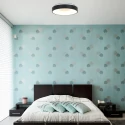 Steinhauer Luminaire de plafond RINGLEDE - Ø 30CM petit, rond, direct / indirect IP20, noir mat gradable