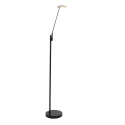 floor lamp DAPHNE 1 flame IP20, black dimmable