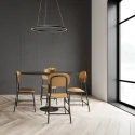 Steinhauer Luminaire à suspension RINGLUX LED IP20, noir  gradable