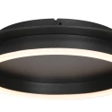 Steinhauer Luminaire de plafond RINGLUX à 1 flamme IP20, noir gradable