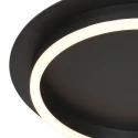 Steinhauer Luminaire de plafond RINGLUX à 1 flamme IP20, noir gradable